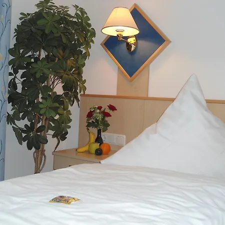 호텔 Hutzenthaler 3*